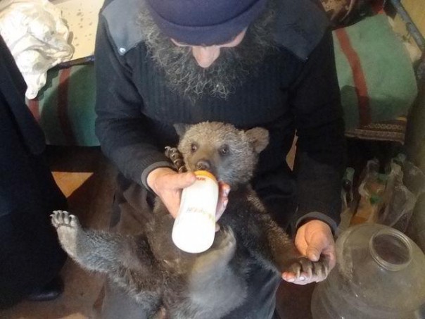 Животные и монахи Святой Горы Афон Животные и монахи Святой Горы Афон