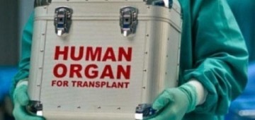 Украина решила торговать украинцами