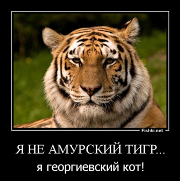 Пружина примирения. Александр Роджерс