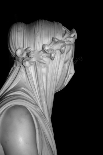 Живой камень