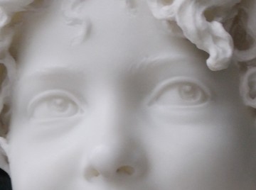 Живой камень