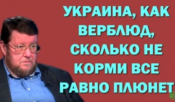 Евгений Сатановский: Украина, как верблюд, сколько не корми все равно плюнет 17.05.2016