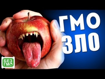 Россельхознадзор ограничил ввоз ряда европейских продуктов из-за ГМО