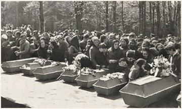 Светлогорск 1972. Авиакатастрофа