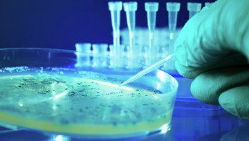 В США впервые обнаружили "cупербактерию", устойчивую ко всем антибиотикам