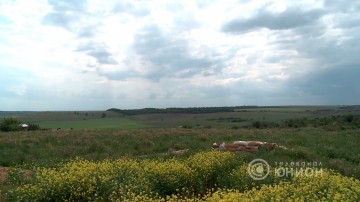 Докучаевск: восстановление под огнём. 27.05.2016, «Панорама»