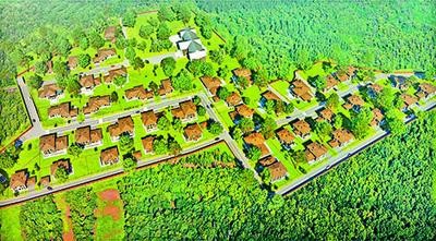 Подмосковье растащили по офшорам