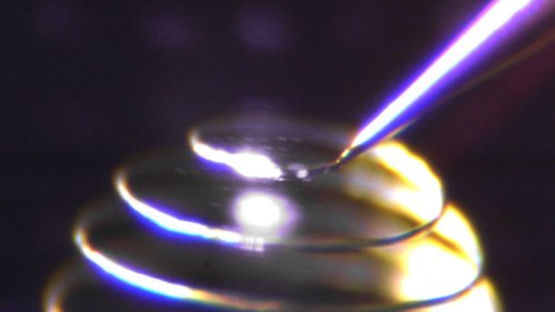 Новая подборка новостей мира науки и техники 01-06-2016