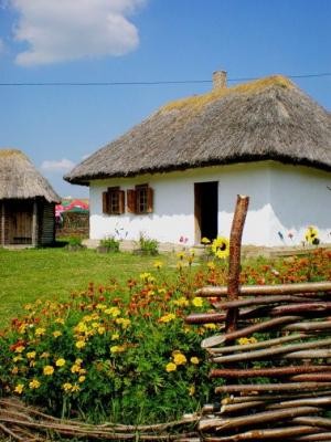 Собачьи будки, уличные уборные, сараи и веранды по требованию МВФ обложат налогом