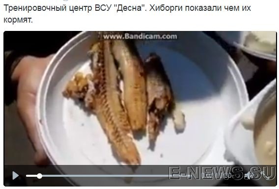 Потерь НЕТ - терять некого! Потери укрофашистов с 1 по 31 мая (Фото)