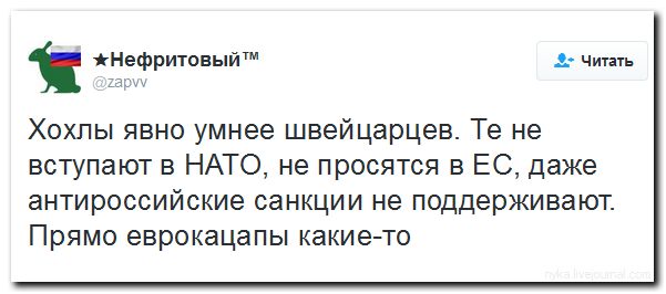 А вот... А вот...