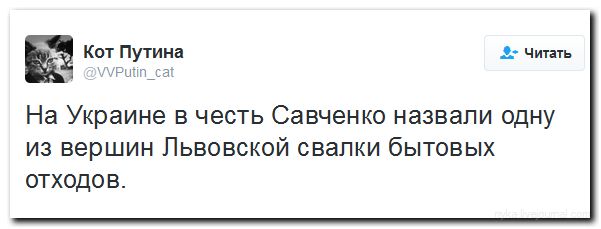 А вот... А вот...