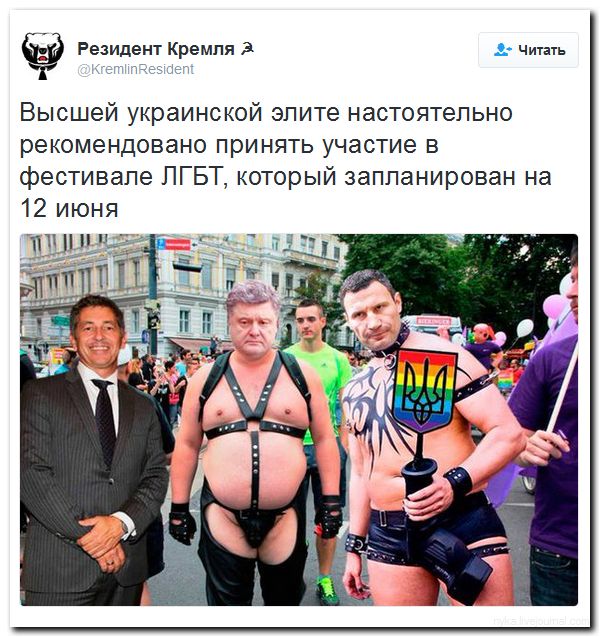 А вот... А вот...