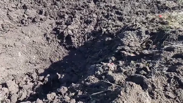 Сводка от МО ДНР 5 июня 2016 года. Укрофашисты за сутки 485 раз открывали огонь по территории Республики