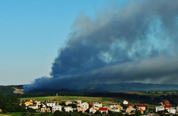 Путин, что ты творишь? Остановись! Путин, что ты творишь? Остановись!