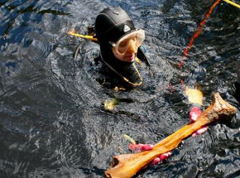 В США обнаружены следы древних сибиряков, перебравшихся в Америку