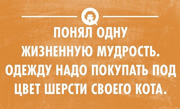 Веселые картинки