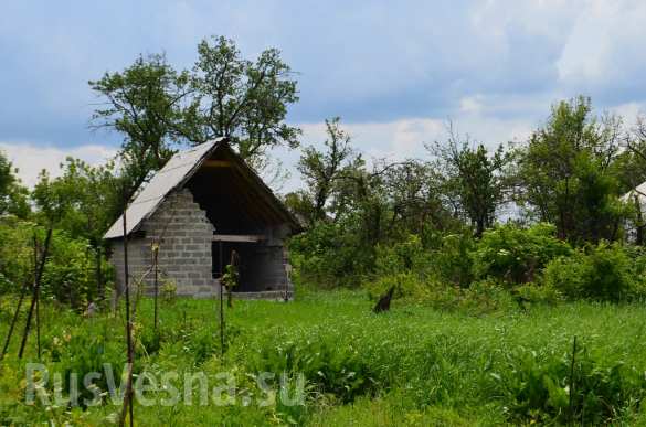 Сводка от МО ДНР 12 июня 2016 года. Укрофашисты за сутки более 600 раз обстреляли прифронтовые районы ДНР, есть разрушения, погибшие и раненые