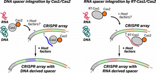 Новая подборка новостей мира науки и техники 14-06-2016