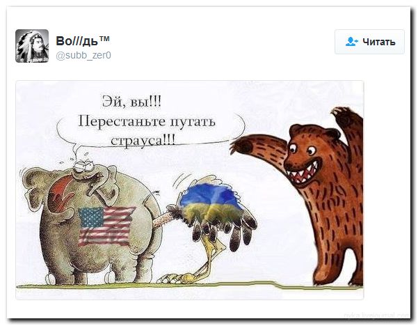 Подборка 12