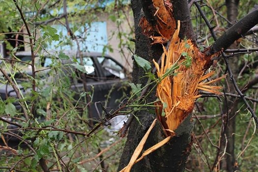 Сводка от МО ДНР 18 июня 2016 года. ВСУ зачистили своих же: убито 18 боевиков, 25 ранено