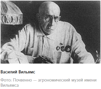 Израиль на Амуре