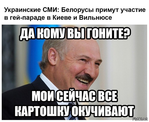 "Мыздобулы" в картинках. Смешных и не очень... 20-06-2016