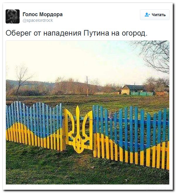 "Мыздобулы" в картинках. Смешных и не очень... 20-06-2016