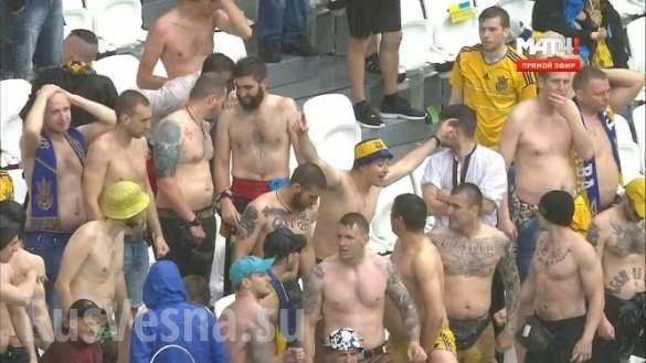 Оливер Стоун, солдаты удачи и истерика украинских патриотов