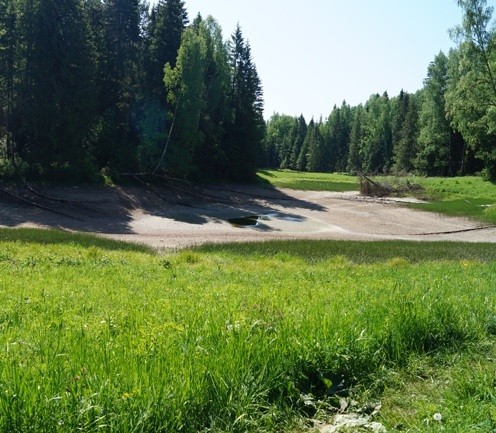 В Пермском крае загадочным образом исчезло целое озеро вместе с рыбой