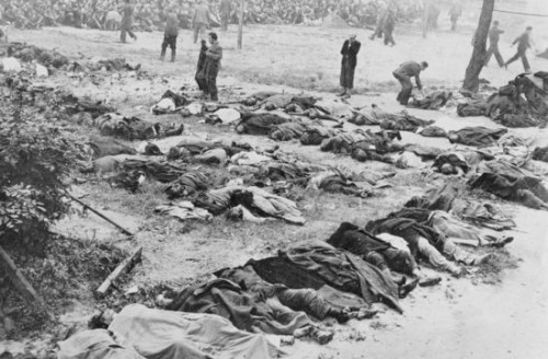 Злодеяния ОУН в начале Великой Отечественной войны. Часть I