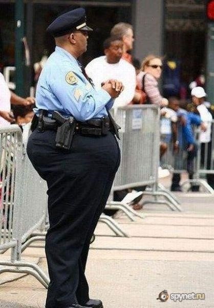 Вся социально-экономическая и мировая политика стоит на трех китах