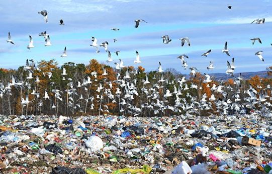 Киевляне потребовали запретить возить львовский мусор в Киев