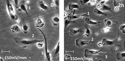 Новая подборка новостей мира науки и техники 22-06-2016 Новая подборка новостей мира науки и техники 22-06-2016