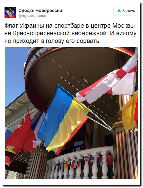 "Мыздобулы" в картинках. Смешных и не очень... 22-06-2016 "Мыздобулы" в картинках. Смешных и не очень... 22-06-2016