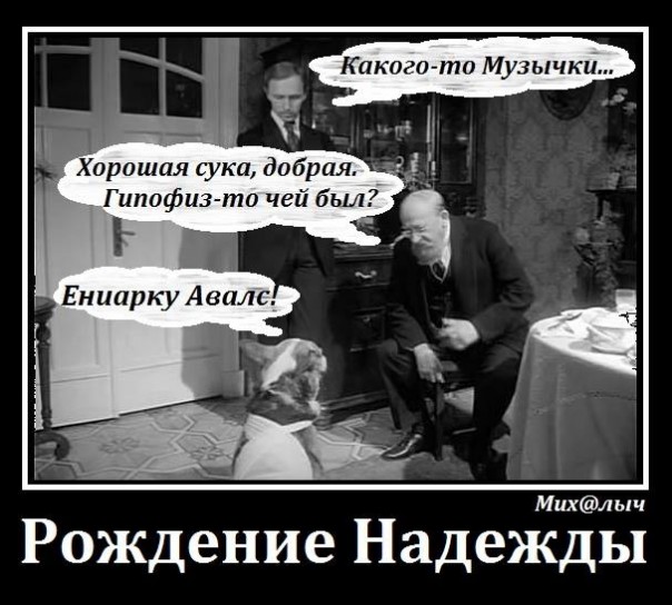 Сестра Шарикова, или переписка Климкина с Туском Сестра Шарикова, или переписка Климкина с Туском