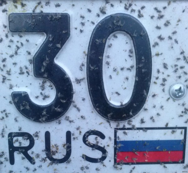 Представители НАТО интересуются Астраханью