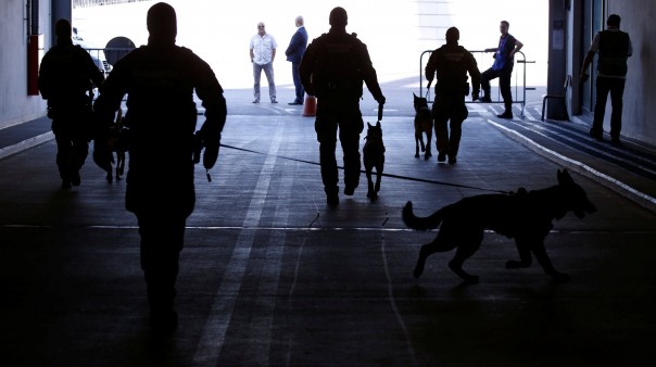 Француз со 100 кг взрывчатки и тремя гранатомётами задержан на границе Украины