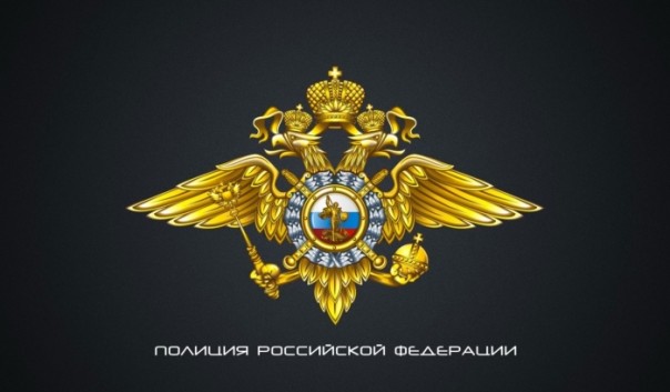 ЦИК создает оперативный штаб силовиков для охраны выборов в ГД РФ