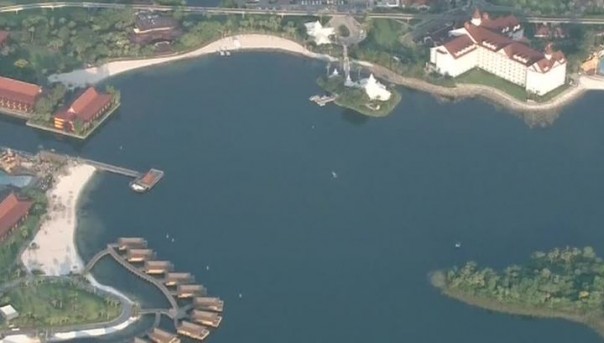 В развлекательном парке Disney World найдено тело ребенка, убитого аллигатором