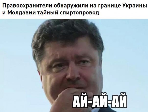 "Мыздобулы" в картинках. Смешных и не очень... 20-06-2016