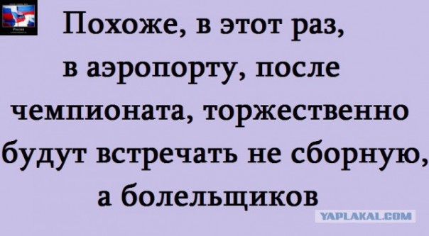 "Мыздобулы" в картинках. Смешных и не очень... 20-06-2016