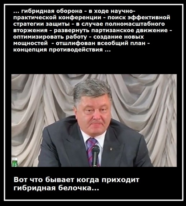 "Мыздобулы" в картинках. Смешных и не очень... 20-06-2016