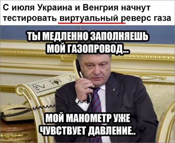 "Мыздобулы" в картинках. Смешных и не очень... 20-06-2016