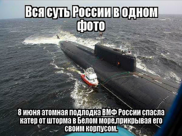 "Мыздобулы" в картинках. Смешных и не очень... 20-06-2016