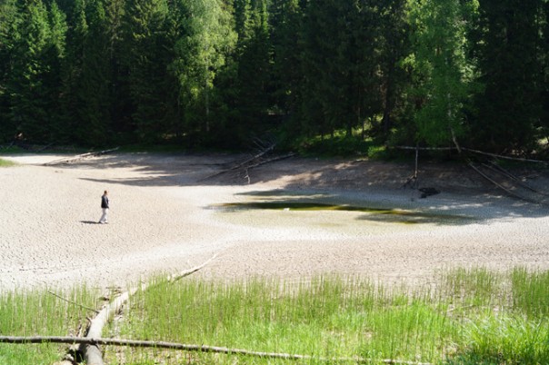 В Пермском крае загадочным образом исчезло целое озеро вместе с рыбой