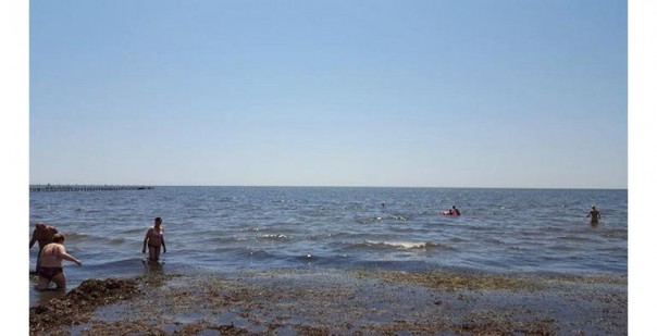 Вторжение укро-отдыхающих в Крым Вторжение укро-отдыхающих в Крым