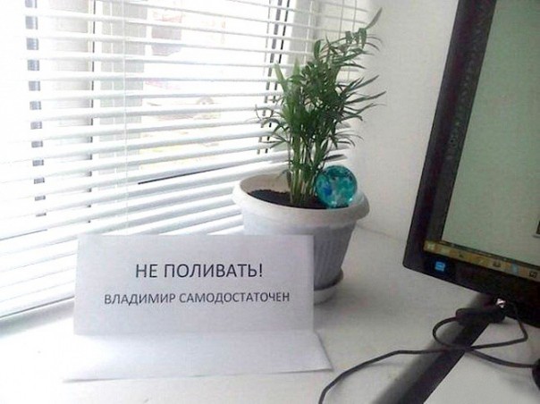 Гении объявлений среди нас Гении объявлений среди нас