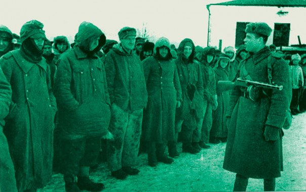 Эти милые, храбрые, несчастные немцы… Юрий Селиванов