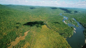 В России вступил в силу закон о "дальневосточном гектаре"